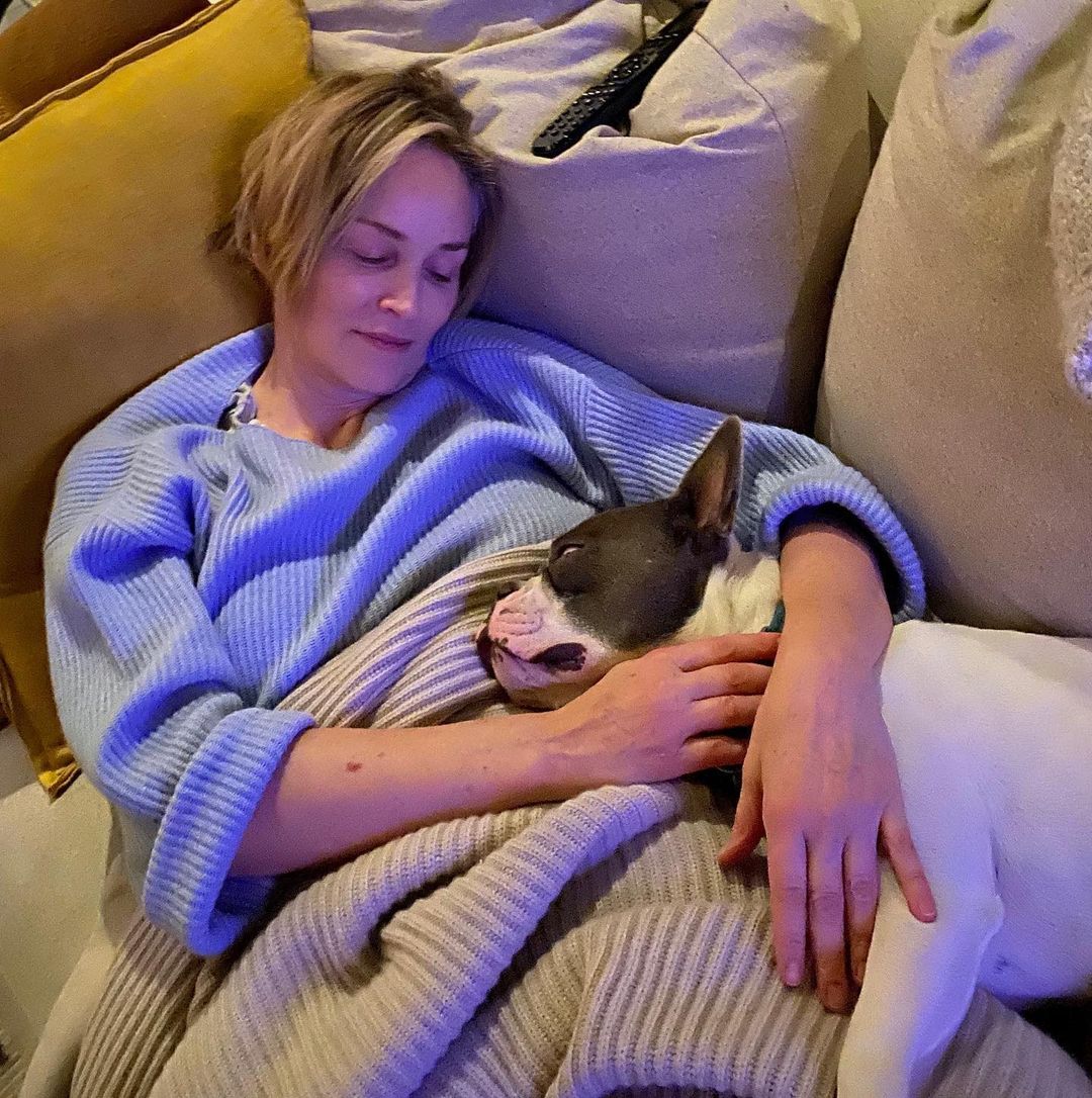 Потрясающая: 62-летняя Шэрон Стоун поразила сеть молодостью на фото из обычной жизни